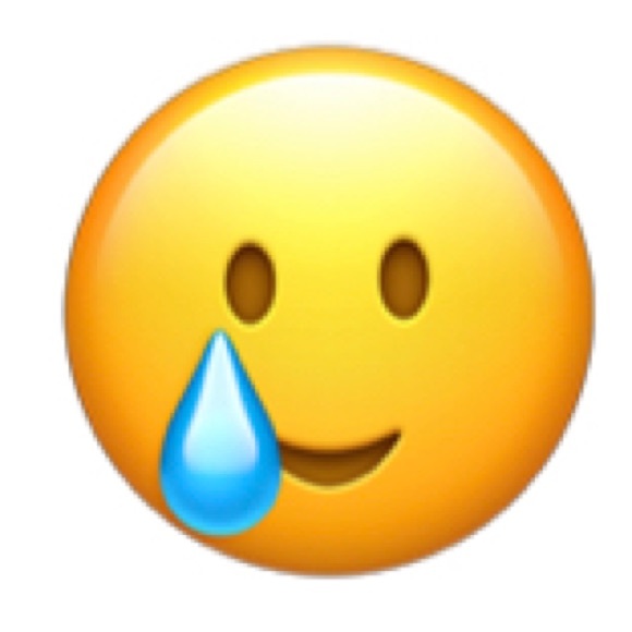 Meet your Posher, Ruby - Picture 1 of 1